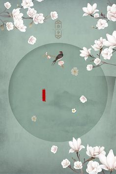 茄子一区二区视频